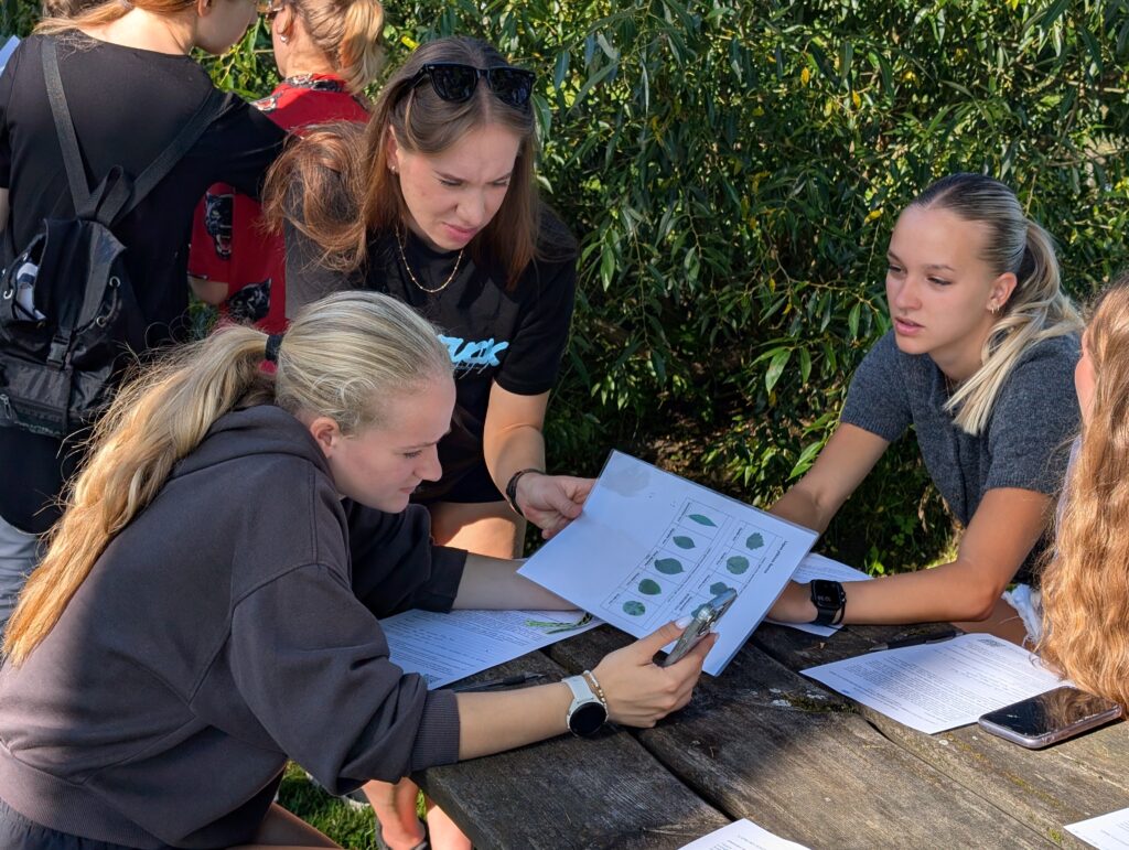 Pxl 20250905 073808762.raw 01.mp.cover