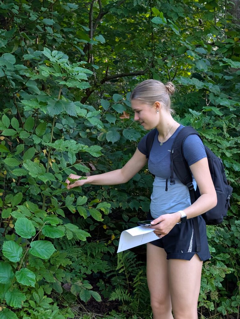 Pxl 20250905 075216770.raw 01.mp.cover