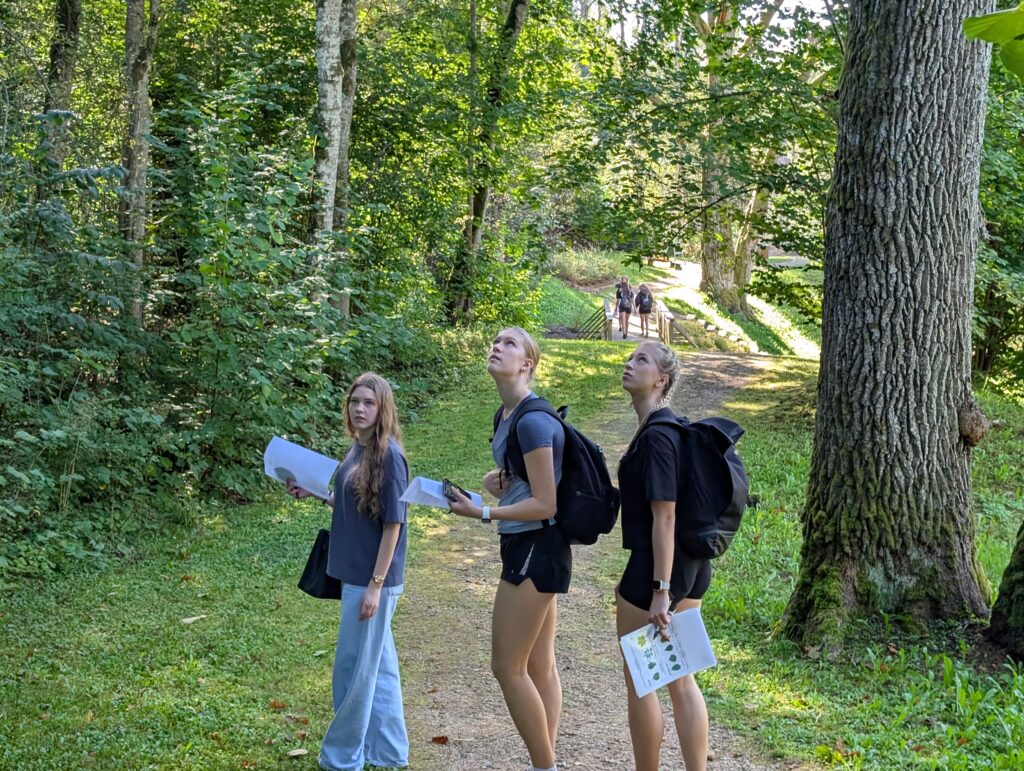 Pxl 20250905 075249558.raw 01.cover