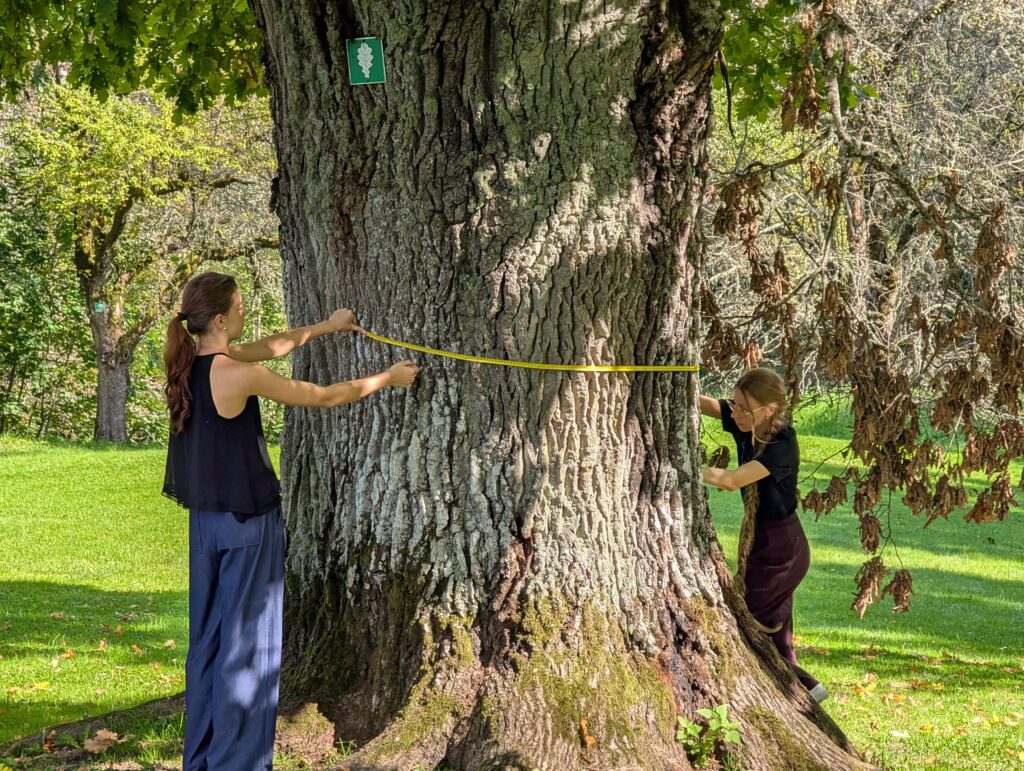 Pxl 20250905 091914381.raw 01.cover